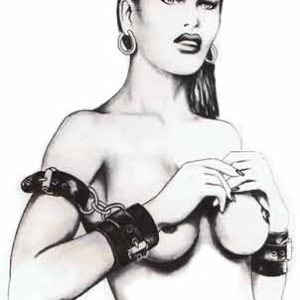 Bondage Harness Wrist to Arm Restraint Set