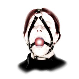 Ball Gag and Bondage Head Harness