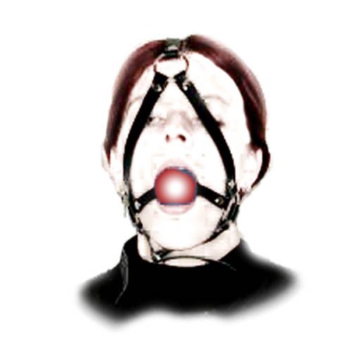 Ball Gag and Bondage Head Harness