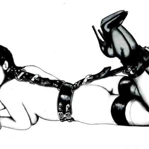 Leather Bondage Slave Hog Tie Set