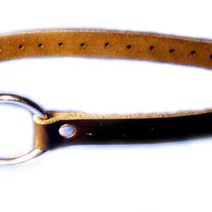 Gag Open Mouth Ring Gag