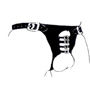 Penis Controlling Harness Total Chastity Harness