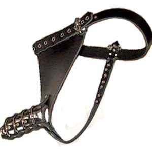 Penis Ring Cage Restraint Harness